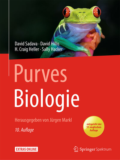 Abbildung von: Purves Biologie - Springer Spektrum