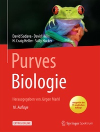 Abbildung von: Purves Biologie - Springer Spektrum