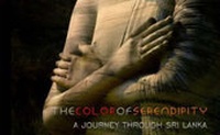 Abbildung von: The Color of Serendipity - TOE Books