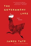 Cover: The Government Lake - Ecco