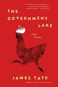 Enlarge image Cover: The Government Lake - Ecco