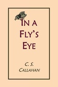 Cover: In a Fly's Eye - Bezalel Books