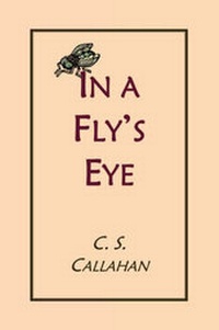 Enlarge image Cover: In a Fly's Eye - Bezalel Books