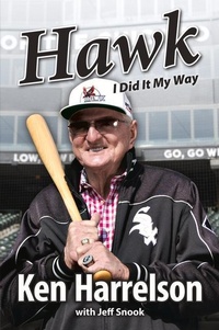 Enlarge image Cover: Hawk - Triumph Books