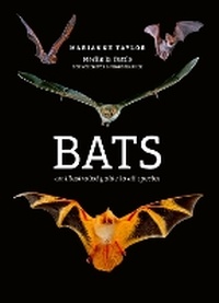 Enlarge image Cover: Bats - Ivy Press
