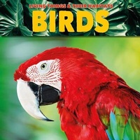 Enlarge image Cover: Birds - The Secret Book Company