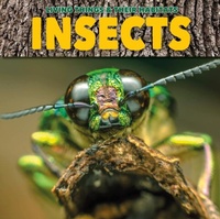 Enlarge image Cover: Insects - The Secret Book Company