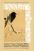 Cover: Hidden in Plain Sight - Freelance Academy Press