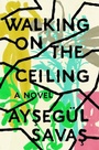 Cover: Walking on the Ceiling - Riverhead Books
