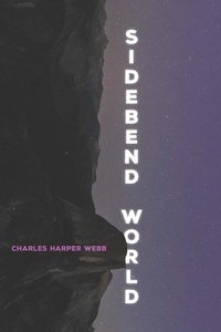 Enlarge image Cover: Sidebend World - NYU Press