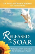 Cover: Released to Soar - Write Place