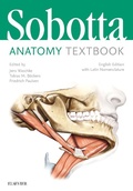 Bild: Sobotta Anatomy Textbook - Elsevier