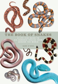 Enlarge image Cover: The Book of Snakes - Ivy Press