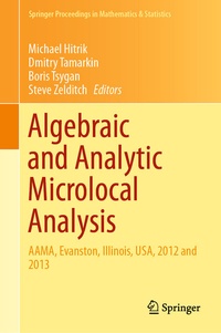 Abbildung von: Algebraic and Analytic Microlocal Analysis - Springer