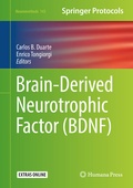 Bild: Brain-Derived Neurotrophic Factor (BDNF) - Humana