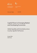 Cover: Capital flows to emerging market and developing economies - German Institute of Development and Sustainability (IDOS) gGmbH