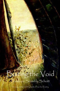 Enlarge image Cover: Baiting the Void - Dream Horse Press