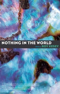 Enlarge image Cover: Nothing In The World - Dzanc Books