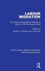 Cover: Labour Migration - Routledge