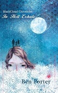 Cover: BlackCloud Chronicles: In Hell Exhale - Austin Macauley Publishers