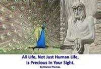 Abbildung von: All Life, Not Just Human Life, Is Precious In Your Sight. - White Lyon Films Ltd