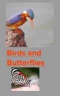 Cover: Birds and Butterflies - Blurb