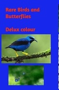 Cover: Rare Birds and Butterflies - Blurb