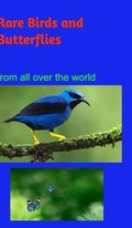 Cover: Rare Birds and Butterflies - Blurb