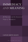 Cover: Immediacy and Meaning - Bloomsbury Academic USA