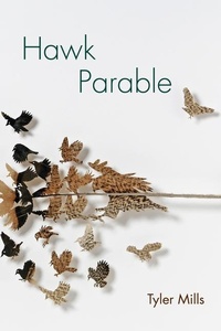 Enlarge image Cover: Hawk Parable - University of Akron Press