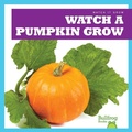 Cover: Watch a Pumpkin Grow - Bullfrog Books
