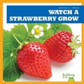 Cover: Watch a Strawberry Grow - Bullfrog Books