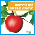 Cover: Watch an Apple Grow - Bullfrog Books