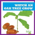 Cover: Watch an Oak Tree Grow - Bullfrog Books