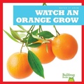 Cover: Watch an Orange Grow - Bullfrog Books