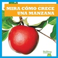 Cover: Mira Como Crece Una Manzana (Watch an Apple Grow) - Bullfrog Books