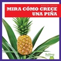 Cover: Mira Como Crece Una Pina (Watch a Pineapple Grow) - Bullfrog Books