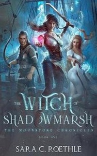 Enlarge image Cover: The Witch of Shadowmarsh - Vulture's Eye Publications