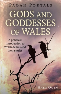 Abbildung von: Pagan Portals - Gods and Goddesses of Wales - Moon Books