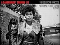 Enlarge image Cover: A Dangerously Curious Eye - Rock Out Books
