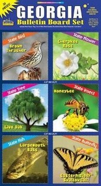 Enlarge image Cover: Georgia Bulletin Board Set - Gallopade International