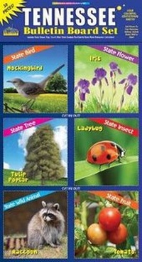 Enlarge image Cover: Tennessee Bulletin Board Set - Gallopade International