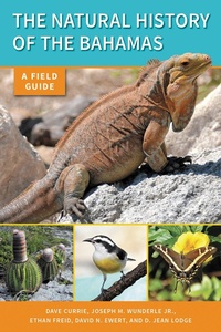 Abbildung von: The Natural History of the Bahamas - Comstock Publishing Associates