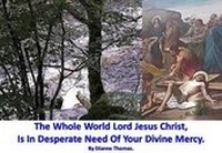 Abbildung von: The Whole World Lord Jesus Christ, Is In Desperate Need Of Your Divine Mercy. - White Lyon Films Ltd
