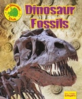 Cover: Dinosaur Fossils - Ruby Tuesday Books Ltd