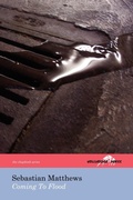 Cover: Coming To Flood (The Hollyridge Press Chapbook Series) - Hollyridge Press