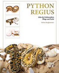 Abbildung von: Python regius - Natur und Tier