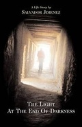 Cover: The Light at the End of Darkness - Panoply Publishing
