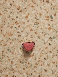 Enlarge image Cover: Mika Rottenberg - Appel