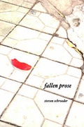 Cover: Fallen Prose - VIRTUAL ARTISTS COLLECTIVE